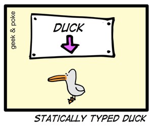 Statically Typed Duck